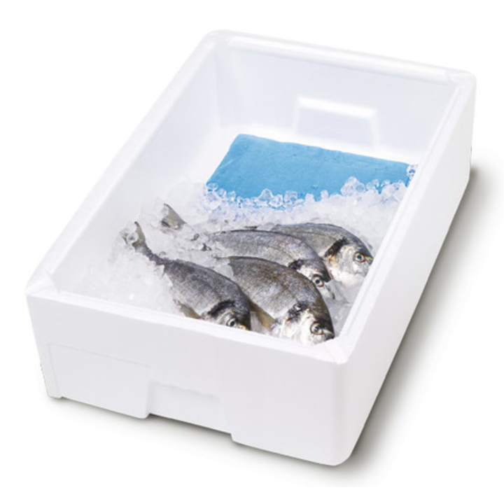 Seafood Square Absorbent