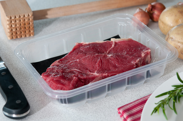 Seafood Square Absorbent